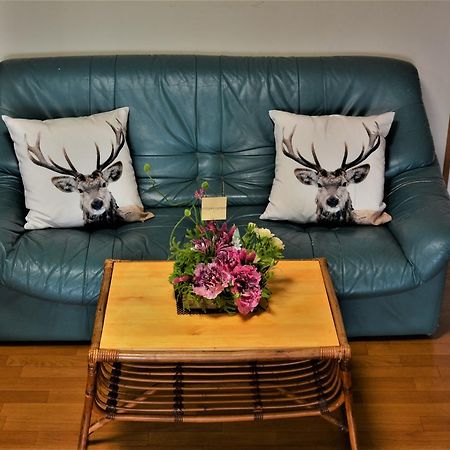 호쿠토 Deerhorn 호스텔 외부 사진
